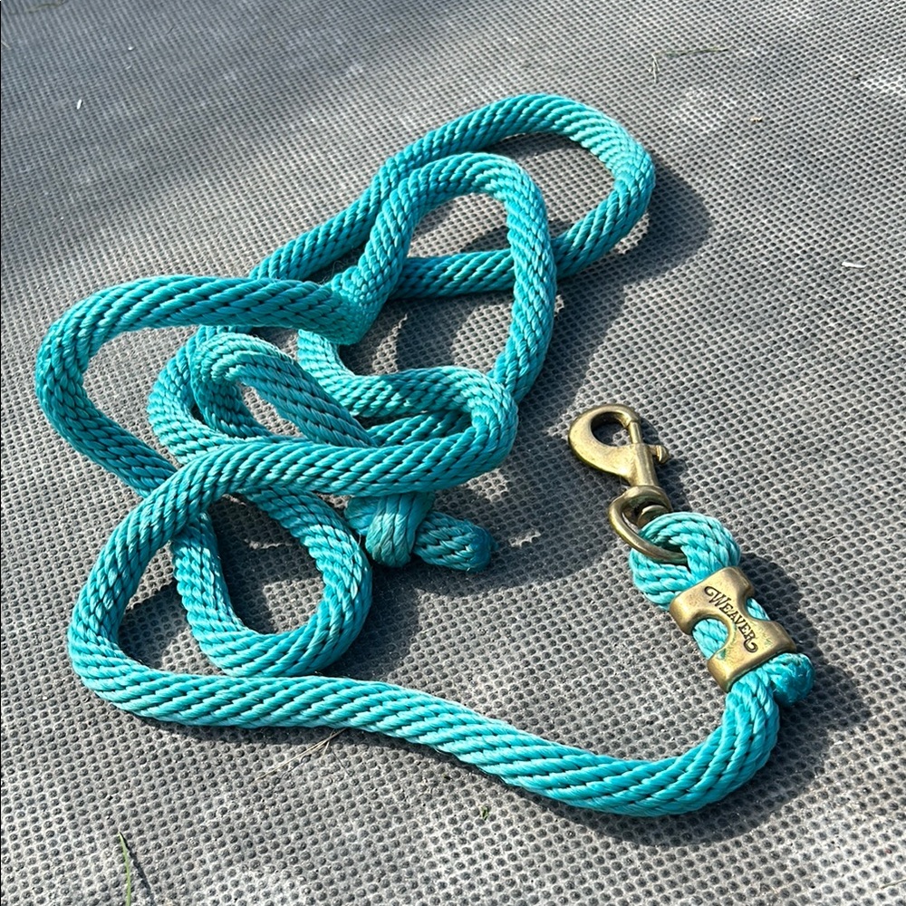 Turquoise Rope Leash with Brass Clip horse